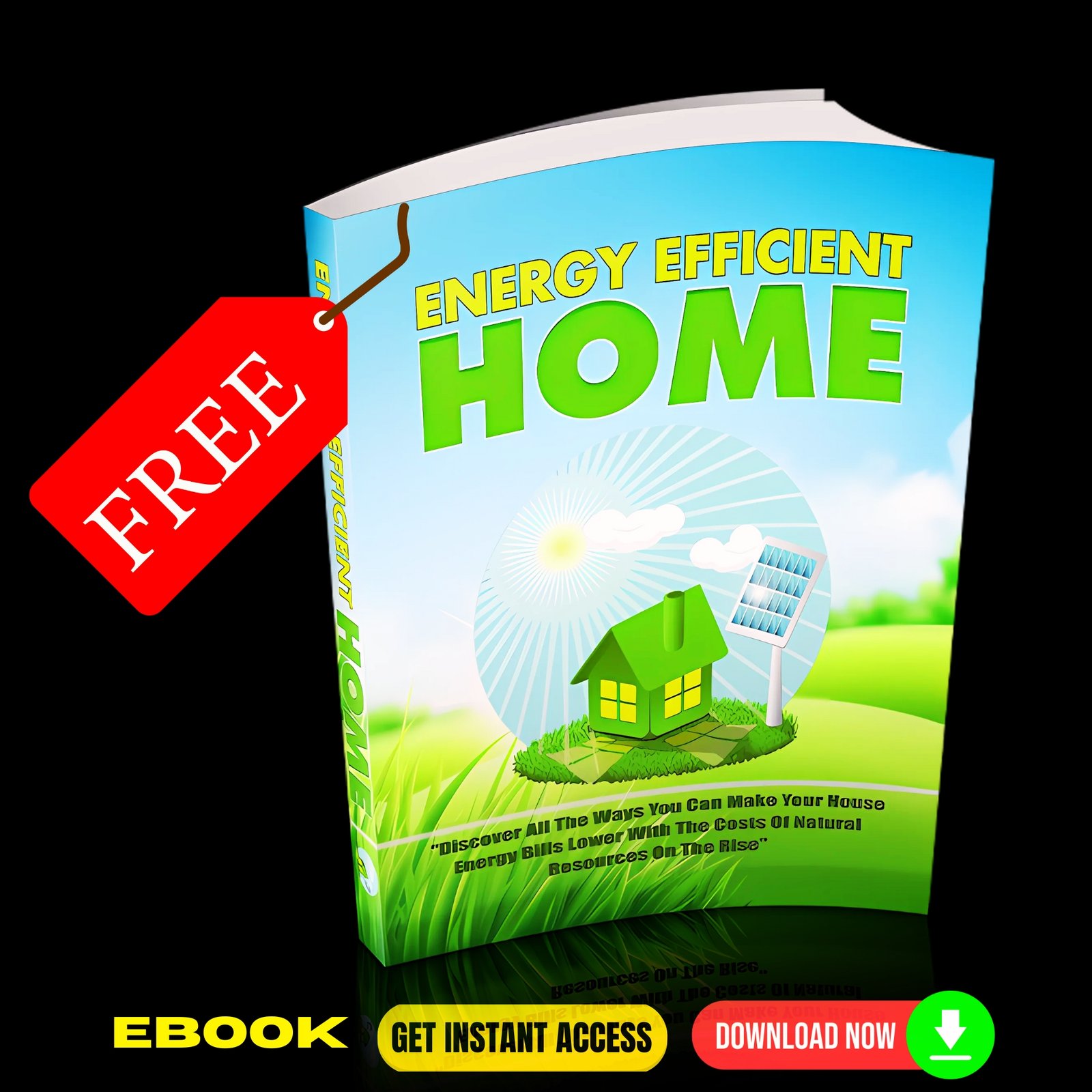 Energy Efficient Home (FREE eBook)