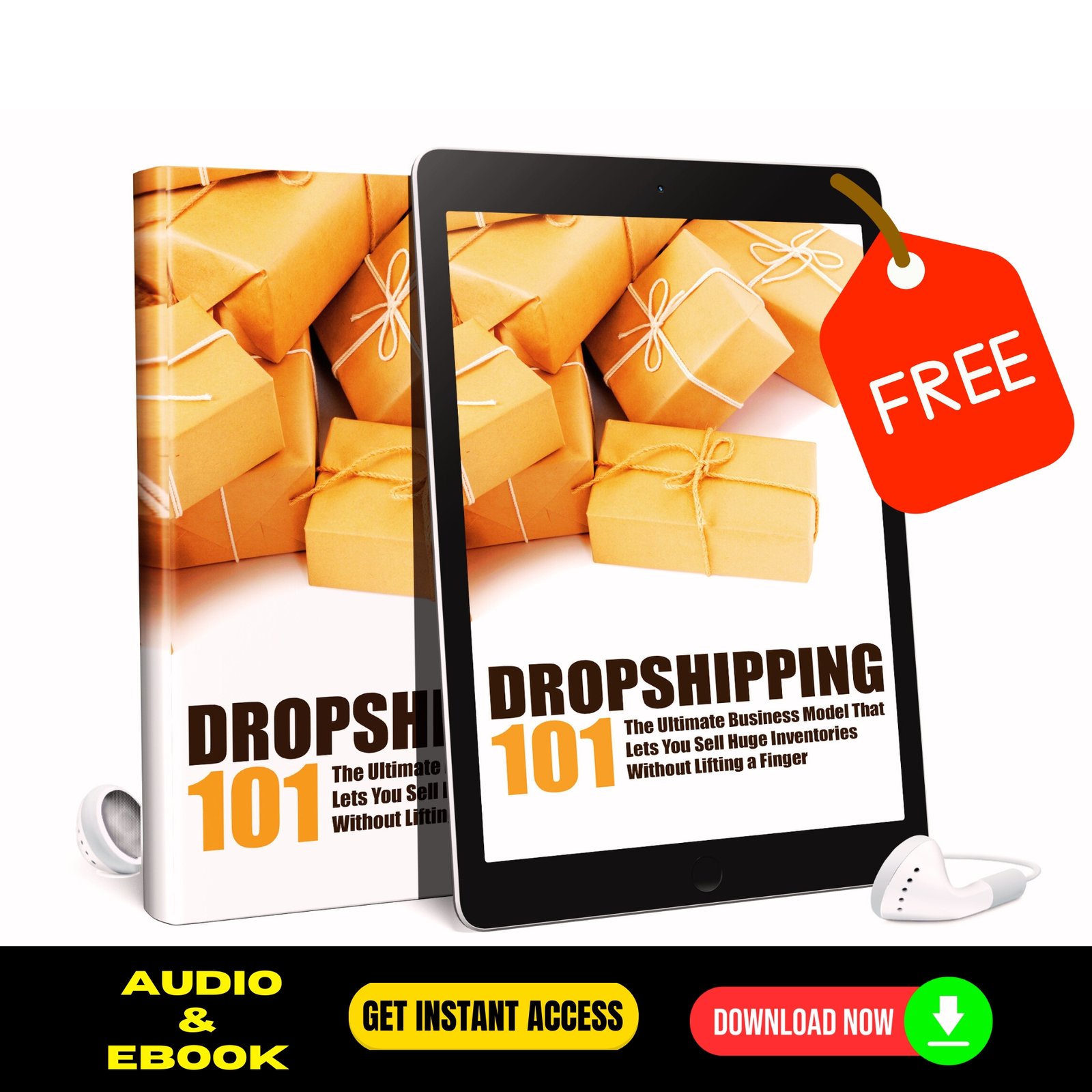 Dropshipping 101 (FREE Audio and eBook)