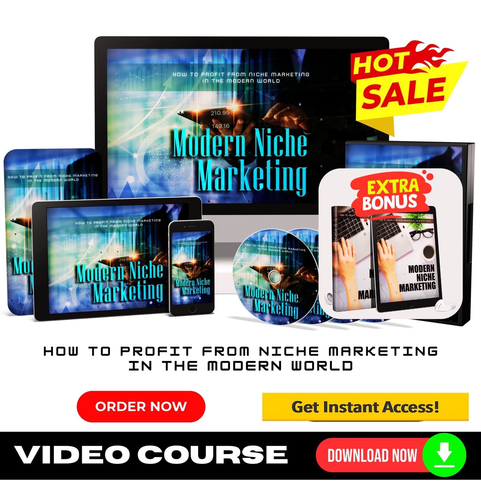 Modern Niche Marketing Upgrade Package (Video Course)