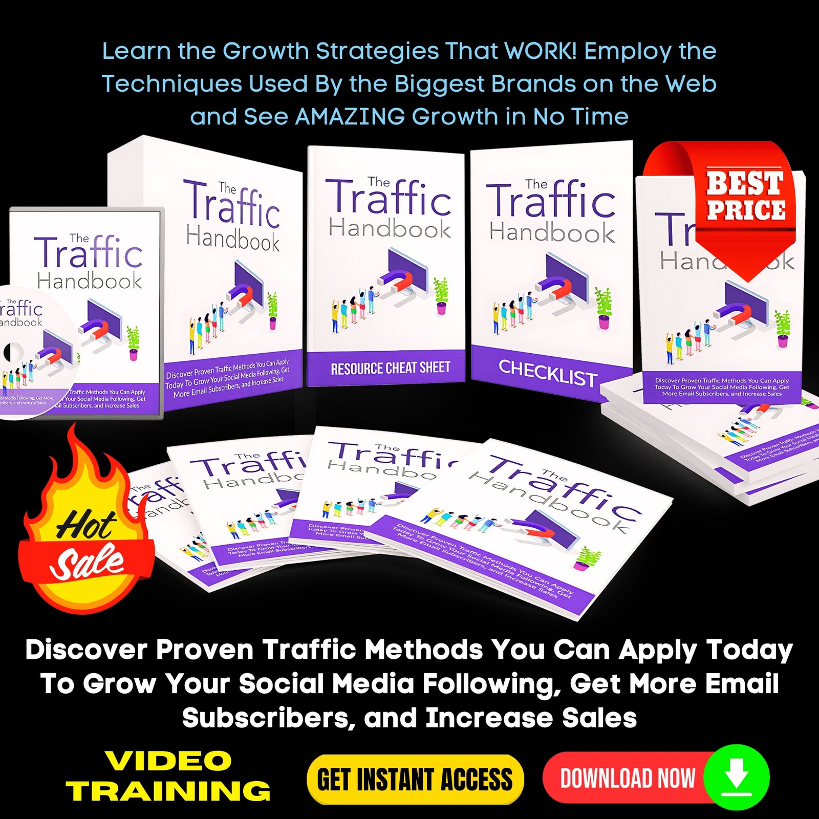 The Traffic Handbook Upgrade Package - Video Course
